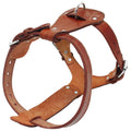 The Classic Leather Harness