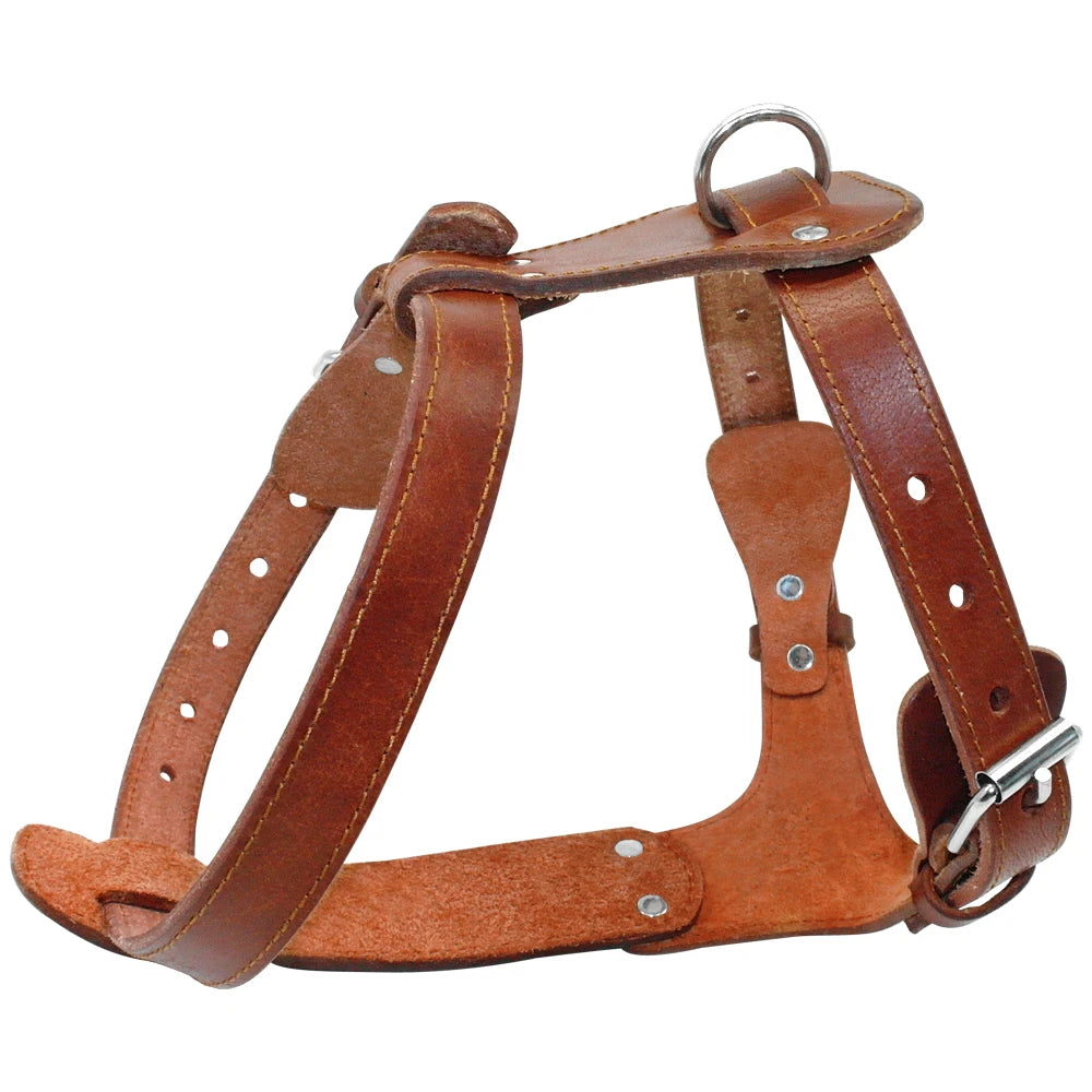 The Classic Leather Harness