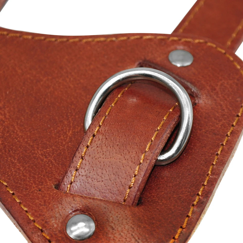 The Classic Leather Harness