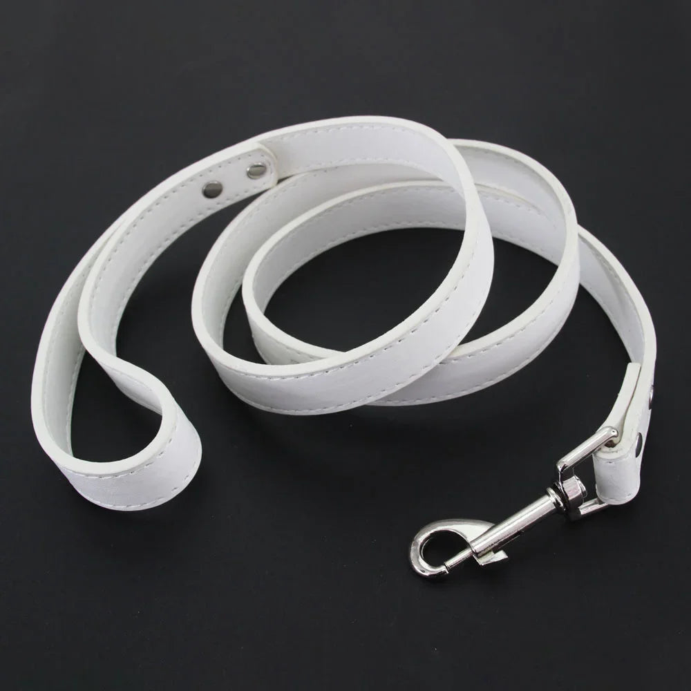 The Classic Leather Leash