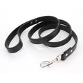 The Classic Leather Leash