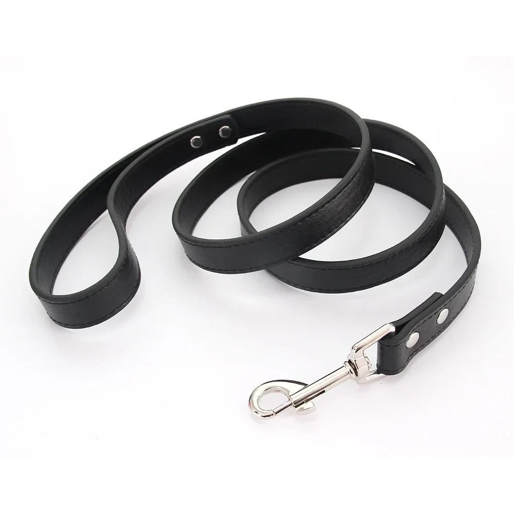 The Classic Leather Leash