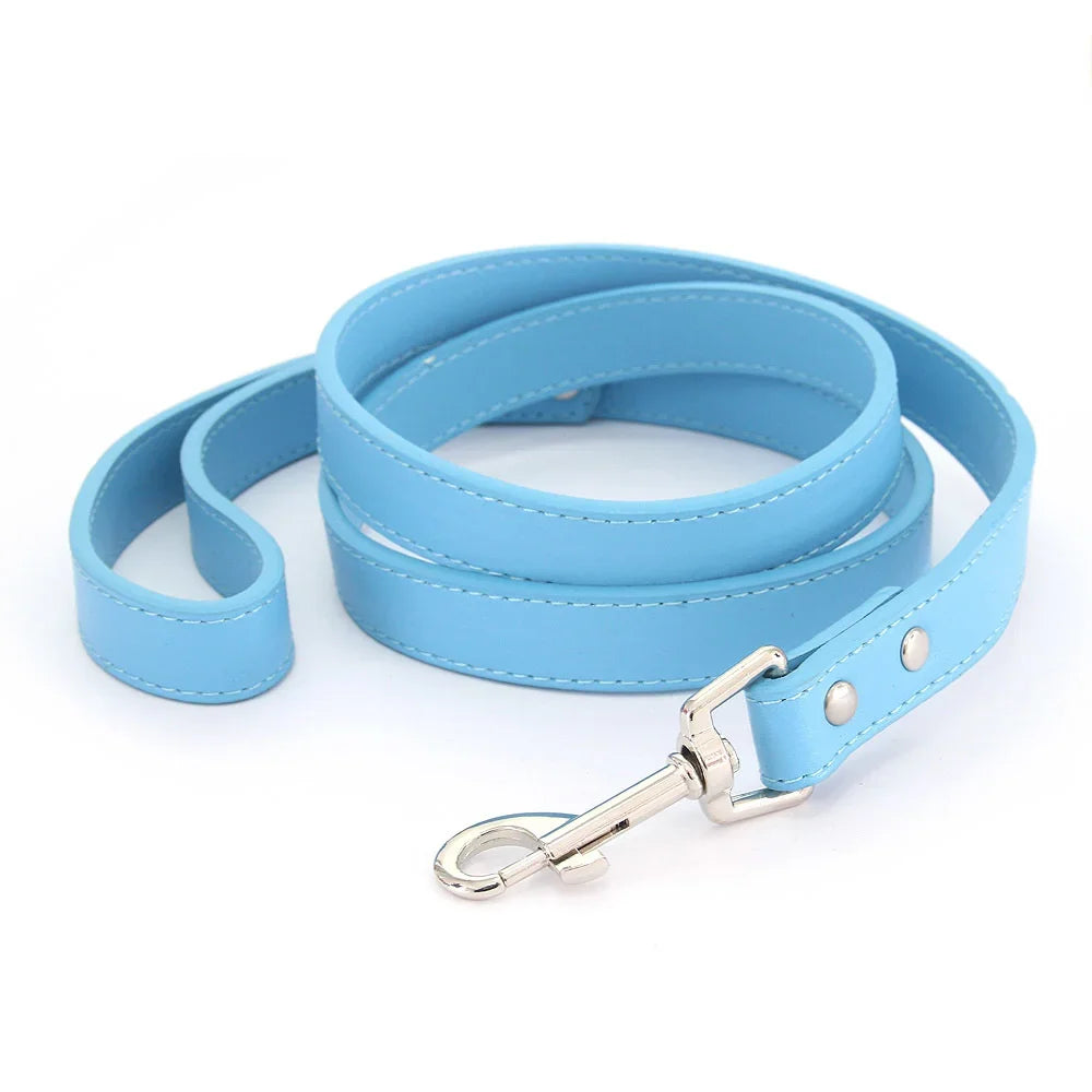 The Classic Leather Leash