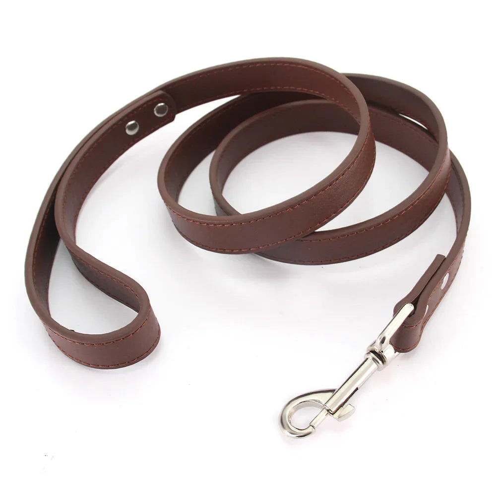 The Classic Leather Leash