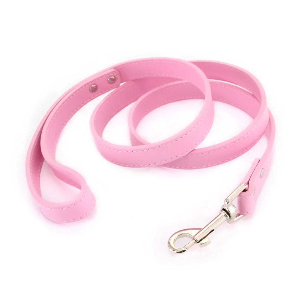 The Classic Leather Leash