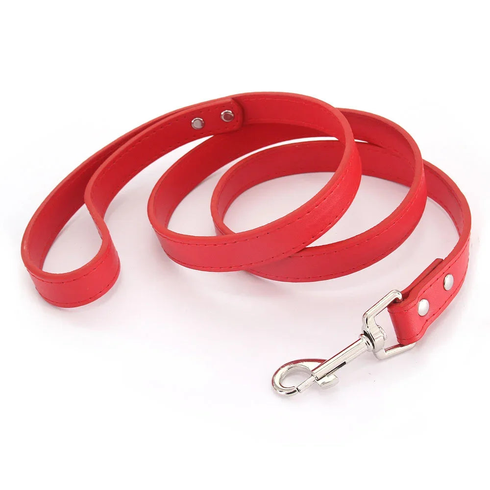 The Classic Leather Leash
