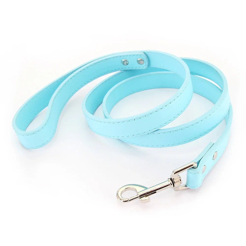 The Classic Leather Leash