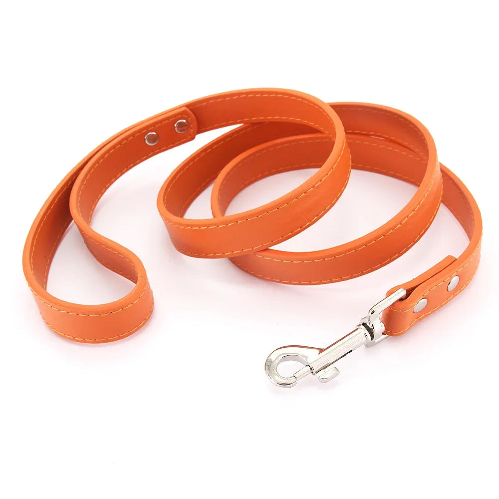 The Classic Leather Leash
