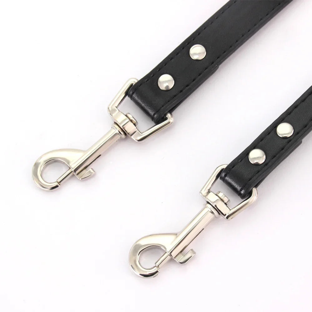 The Classic Leather Leash