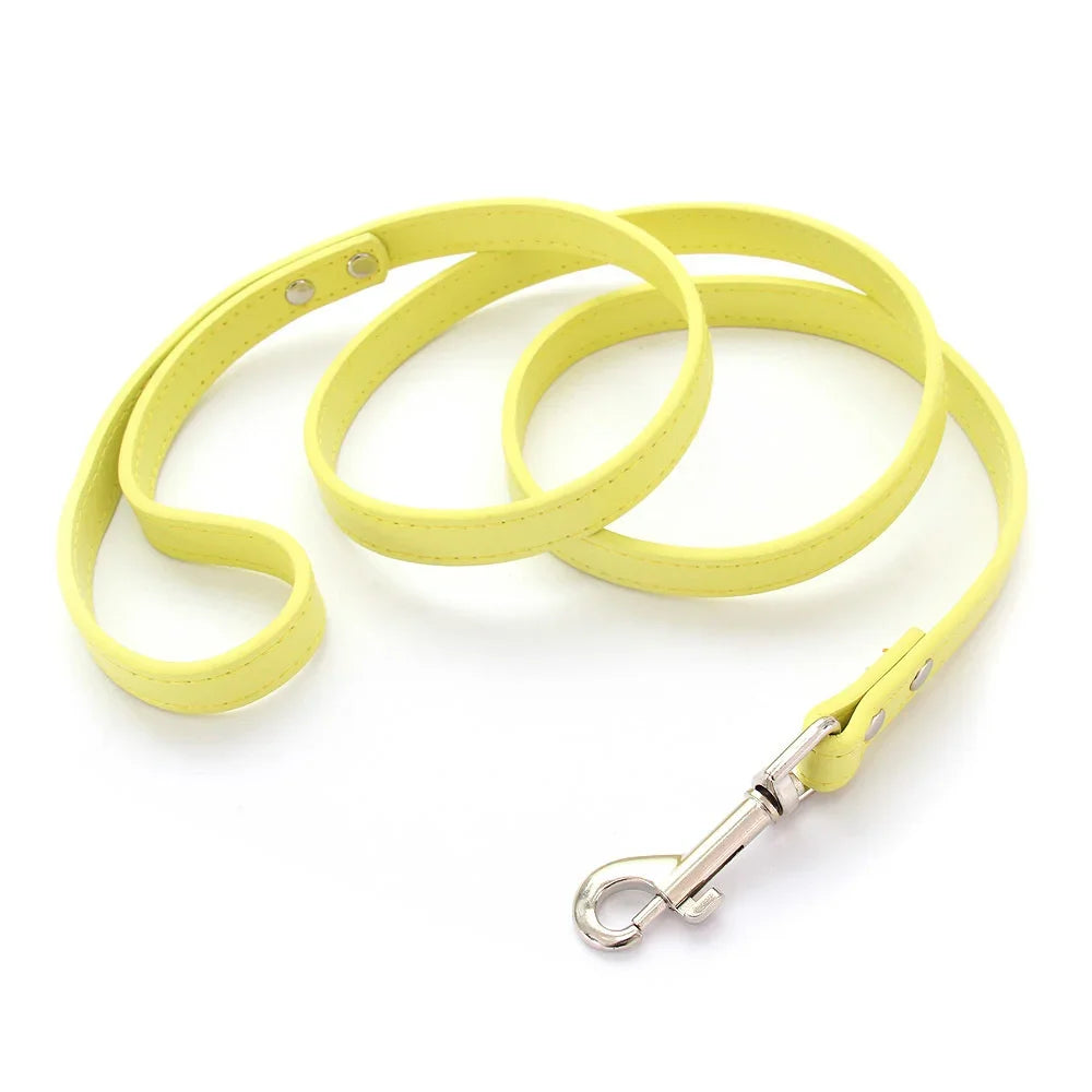 The Classic Leather Leash