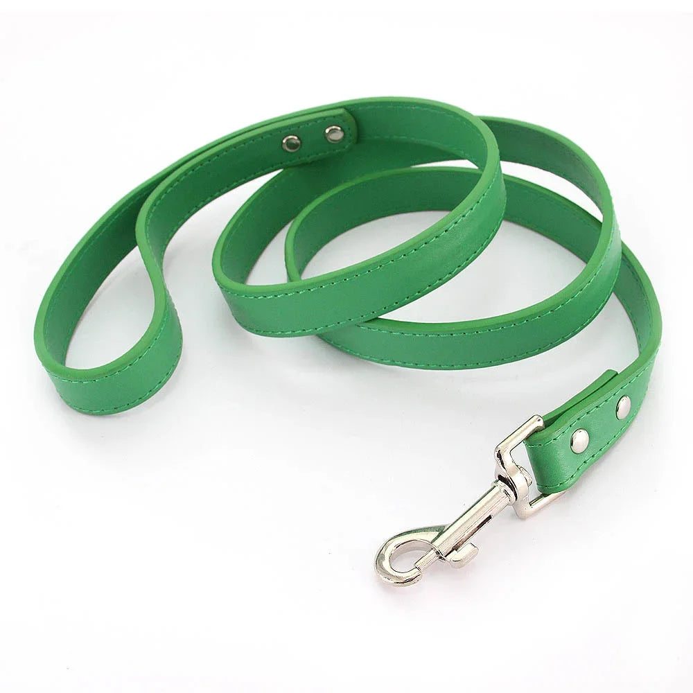 The Classic Leather Leash