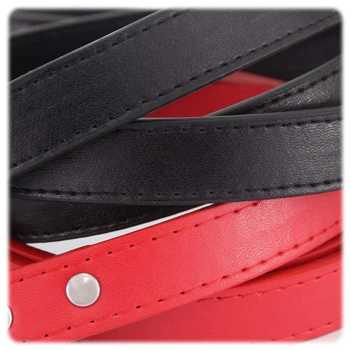 The Classic Leather Leash