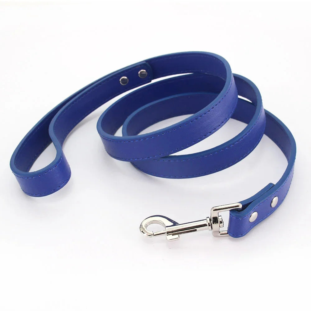 The Classic Leather Leash