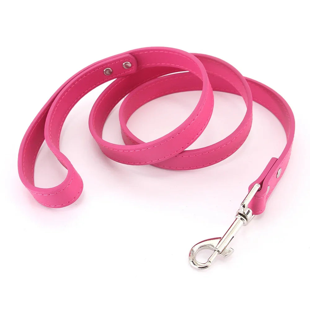 The Classic Leather Leash