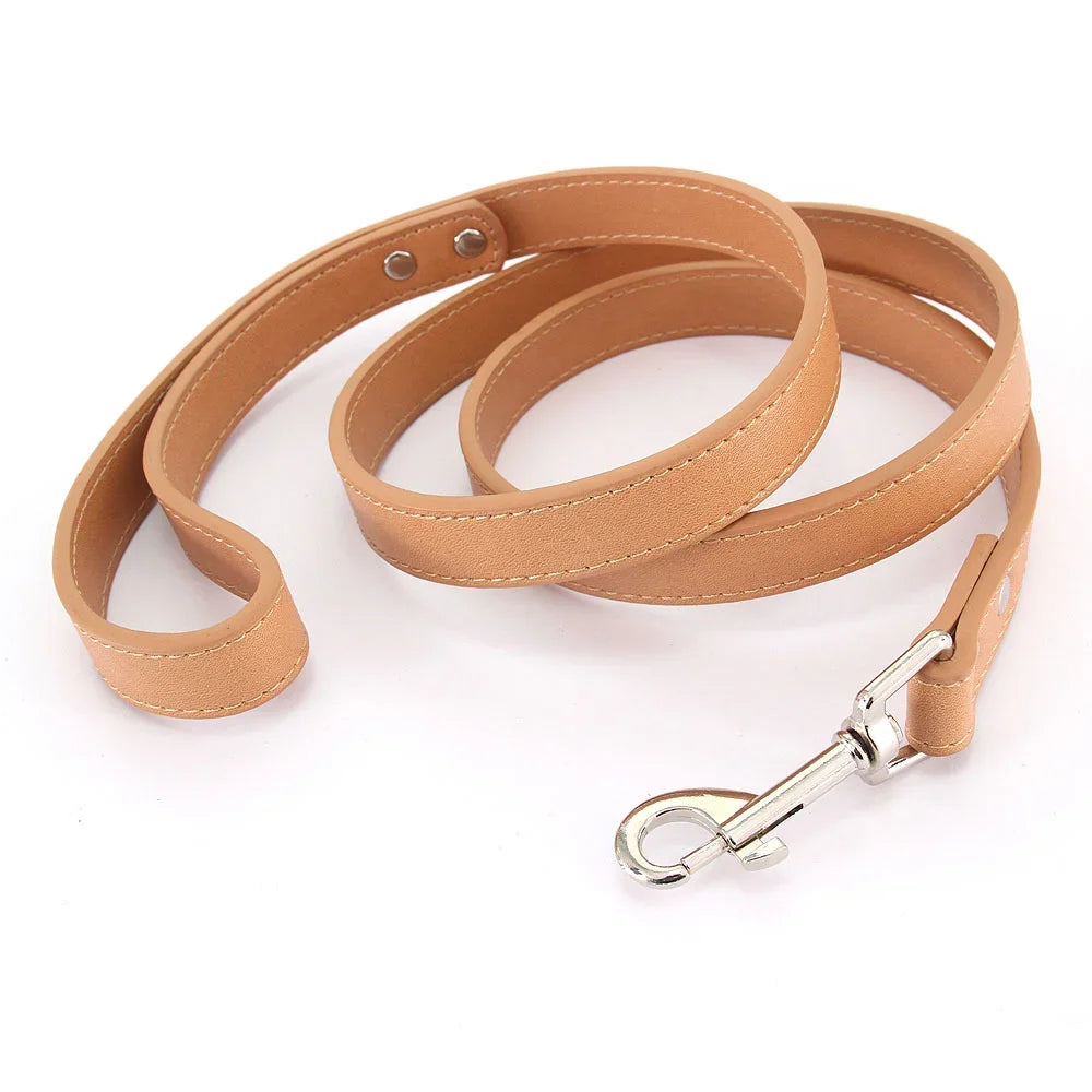 The Classic Leather Leash