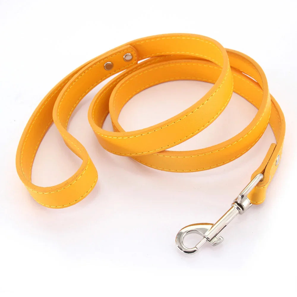 The Classic Leather Leash