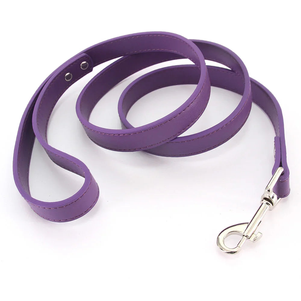 The Classic Leather Leash