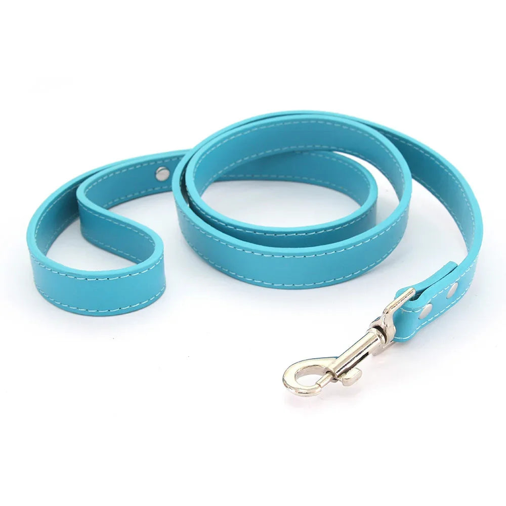 The Classic Leather Leash